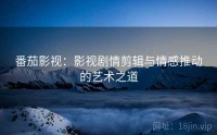 番茄影视：影视剧情剪辑与情感推动的艺术之道